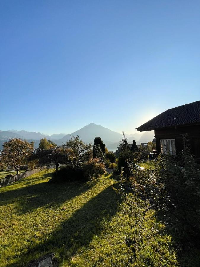 Chalet Edelweiss 지그리스빌 외부 사진